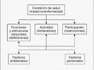 Aplicaciones de la CIF en neurorrehabilitación (documentos de descarga libre)