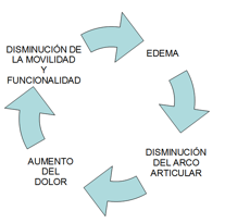 Dolor del hombro hemipléjico vs. Síndrome hombro (2ª parte)