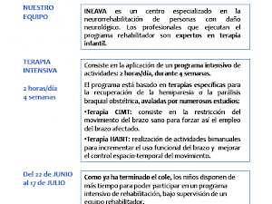 Programa intensivo de terapia funcional para niños con hemiparesia