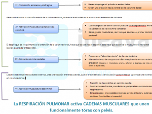 EL INICIO DEL CONTROL POSTURAL